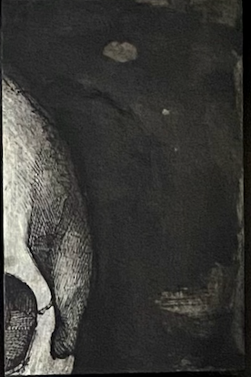 Partie haut-droite S